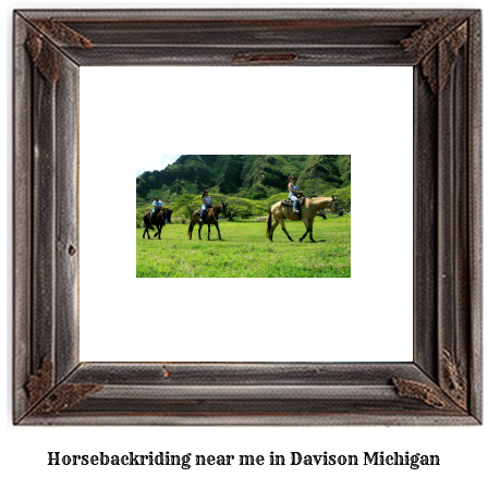 horseback riding near me in Davison, Michigan